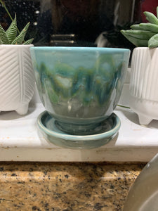 Small Succulent Pot with Attached Saucer